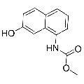 anti-HYAL1 antibody (Hyaluronidase-1) (N-Term)