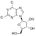 anti-HYAL1 antibody (Hyaluronidase-1) (N-Term)