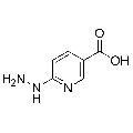 anti-HYAL1 antibody (Hyaluronidase-1) (N-Term)