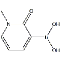 anti-HYAL1 antibody (Hyaluronidase-1) (N-Term)