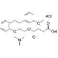 anti-HYAL1 antibody (Hyaluronidase-1) (N-Term)