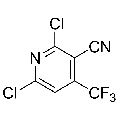 anti-HYAL1 antibody (Hyaluronidase-1) (N-Term)