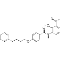 anti-HYAL1 antibody (Hyaluronidase-1) (N-Term)