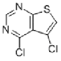 anti-HYAL1 antibody (Hyaluronidase-1) (N-Term)