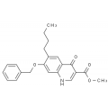 anti-HYAL1 antibody (Hyaluronidase-1) (N-Term)