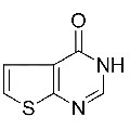 anti-HYAL1 antibody (Hyaluronidase-1) (N-Term)