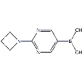 anti-HYAL1 antibody (Hyaluronidase-1) (N-Term)