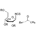 anti-HYAL1 antibody (Hyaluronidase-1) (N-Term)