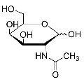 anti-HYAL1 antibody (Hyaluronidase-1) (N-Term)