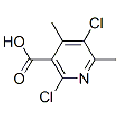 anti-HYAL1 antibody (Hyaluronidase-1) (N-Term)