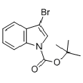 anti-HYAL1 antibody (Hyaluronidase-1) (N-Term)