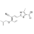anti-HYAL1 antibody (Hyaluronidase-1) (N-Term)