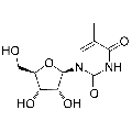 anti-HYAL1 antibody (Hyaluronidase-1) (N-Term)