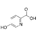 anti-HYAL1 antibody (Hyaluronidase-1) (N-Term)
