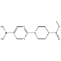 anti-HYAL1 antibody (Hyaluronidase-1) (N-Term)
