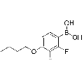 anti-HYAL1 antibody (Hyaluronidase-1) (N-Term)
