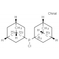 anti-HYAL1 antibody (Hyaluronidase-1) (N-Term)