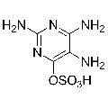 anti-HYAL1 antibody (Hyaluronidase-1) (N-Term)