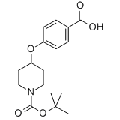anti-HYAL1 antibody (Hyaluronidase-1) (N-Term)