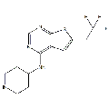 anti-HYAL1 antibody (Hyaluronidase-1) (N-Term)