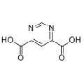 anti-HYAL1 antibody (Hyaluronidase-1) (N-Term)