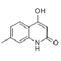 anti-HYAL1 antibody (Hyaluronidase-1) (N-Term)