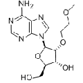 anti-HYAL1 antibody (Hyaluronidase-1) (N-Term)