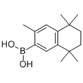 anti-HYAL1 antibody (Hyaluronidase-1) (N-Term)