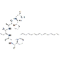 anti-HYAL1 antibody (Hyaluronidase-1) (N-Term)