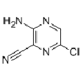 anti-HYAL1 antibody (Hyaluronidase-1) (N-Term)