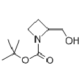 anti-HYAL1 antibody (Hyaluronidase-1) (N-Term)