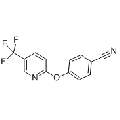 anti-HYAL1 antibody (Hyaluronidase-1) (N-Term)
