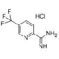 anti-HYAL1 antibody (Hyaluronidase-1) (N-Term)