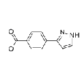 anti-HYAL1 antibody (Hyaluronidase-1) (N-Term)