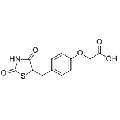 anti-HYAL1 antibody (Hyaluronidase-1) (N-Term)