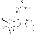anti-HYAL1 antibody (Hyaluronidase-1) (N-Term)