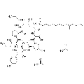 anti-HYAL1 antibody (Hyaluronidase-1) (N-Term)