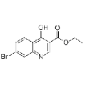 anti-HYAL1 antibody (Hyaluronidase-1) (N-Term)