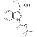 anti-HYAL1 antibody (Hyaluronidase-1) (N-Term)