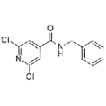 anti-HYAL1 antibody (Hyaluronidase-1) (N-Term)