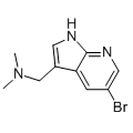 anti-HYAL1 antibody (Hyaluronidase-1) (N-Term)
