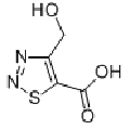 anti-HYAL1 antibody (Hyaluronidase-1) (N-Term)