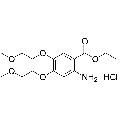 anti-HYAL1 antibody (Hyaluronidase-1) (N-Term)