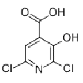 anti-HYAL1 antibody (Hyaluronidase-1) (N-Term)