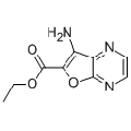 anti-HYAL1 antibody (Hyaluronidase-1) (N-Term)