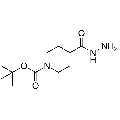 anti-HYAL1 antibody (Hyaluronidase-1) (N-Term)