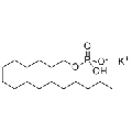 anti-HYAL1 antibody (Hyaluronidase-1) (N-Term)