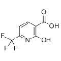 anti-HYAL1 antibody (Hyaluronidase-1) (N-Term)