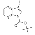 anti-HYAL1 antibody (Hyaluronidase-1) (N-Term)