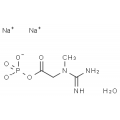 anti-HYAL1 antibody (Hyaluronidase-1) (N-Term)